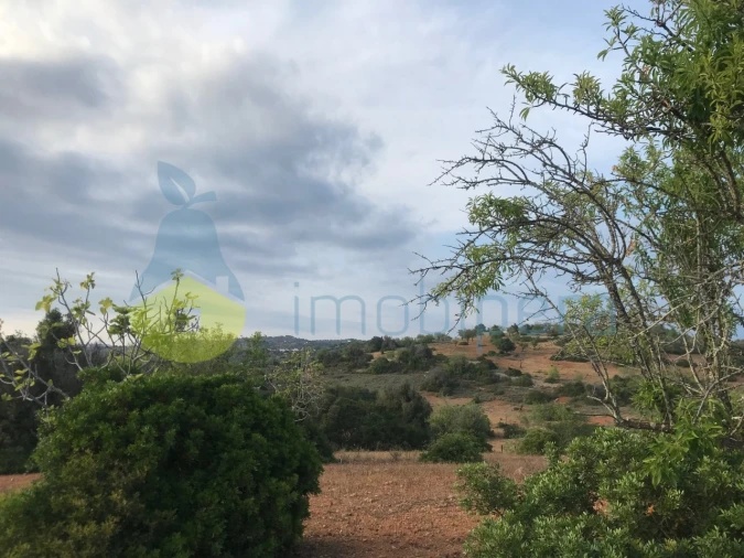 Terreno Agricola ou Rústico para Venda em Ferreiras Foto 14