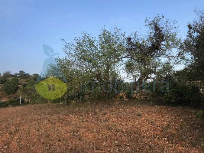 Terreno Agricola ou Rústico para Venda em Ferreiras Foto 30
