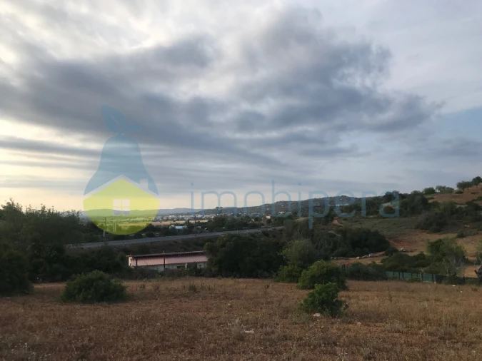 Terreno Agricola ou Rústico para Venda em Ferreiras Foto 32