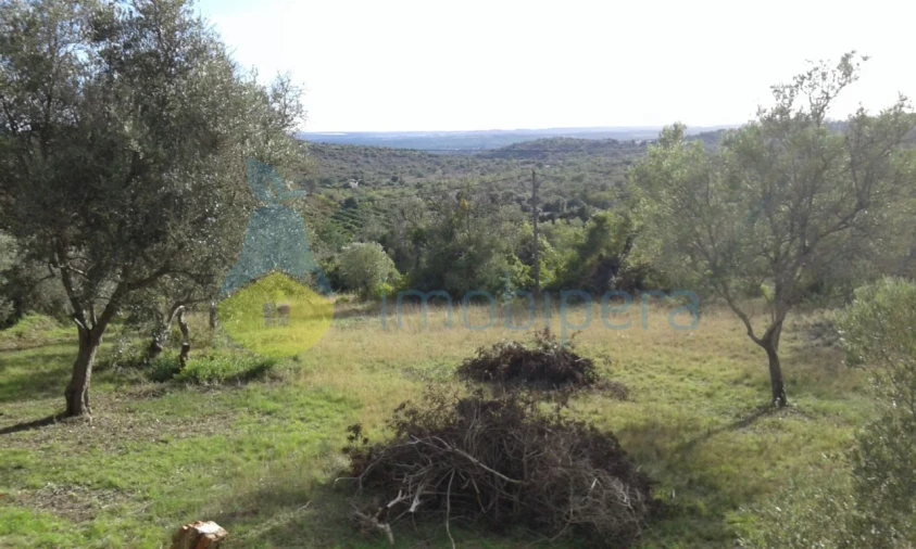 Terreno Agricola ou Rústico para Venda em São Bartolomeu de Messines