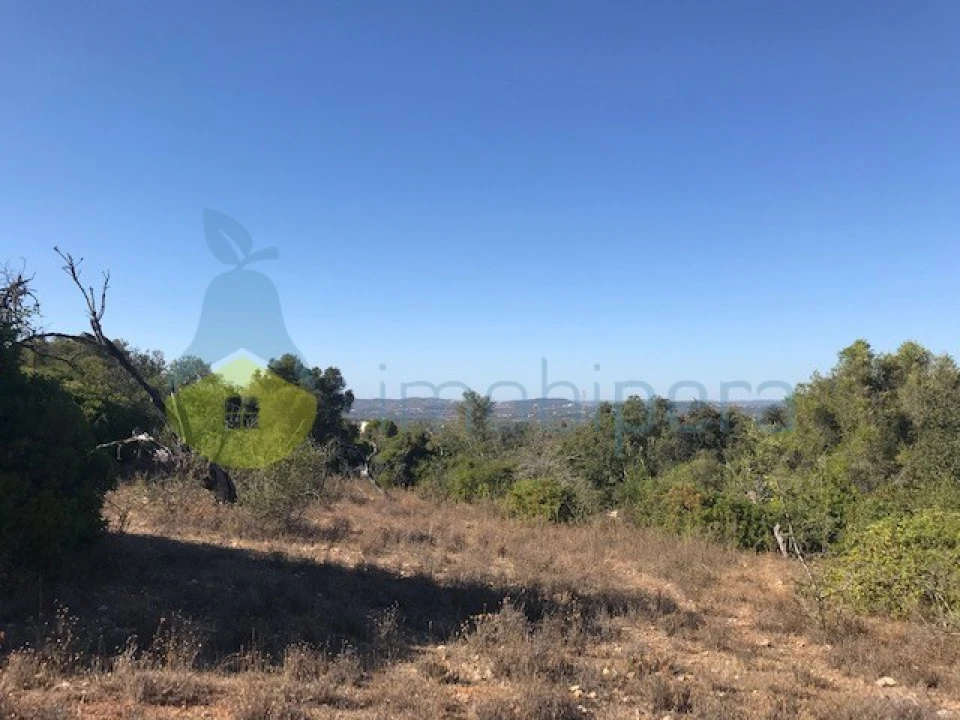 Terreno Agricola ou Rústico para Venda em Paderne Foto 10