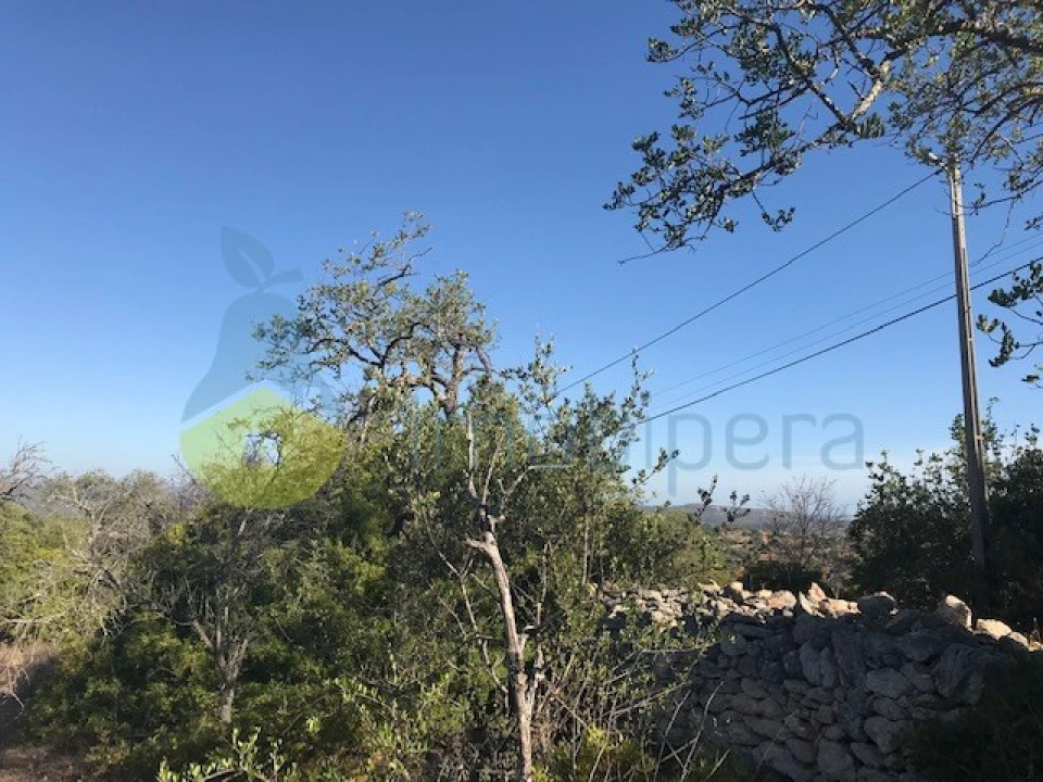 Terreno Agricola ou Rústico para Venda em Paderne Foto 9