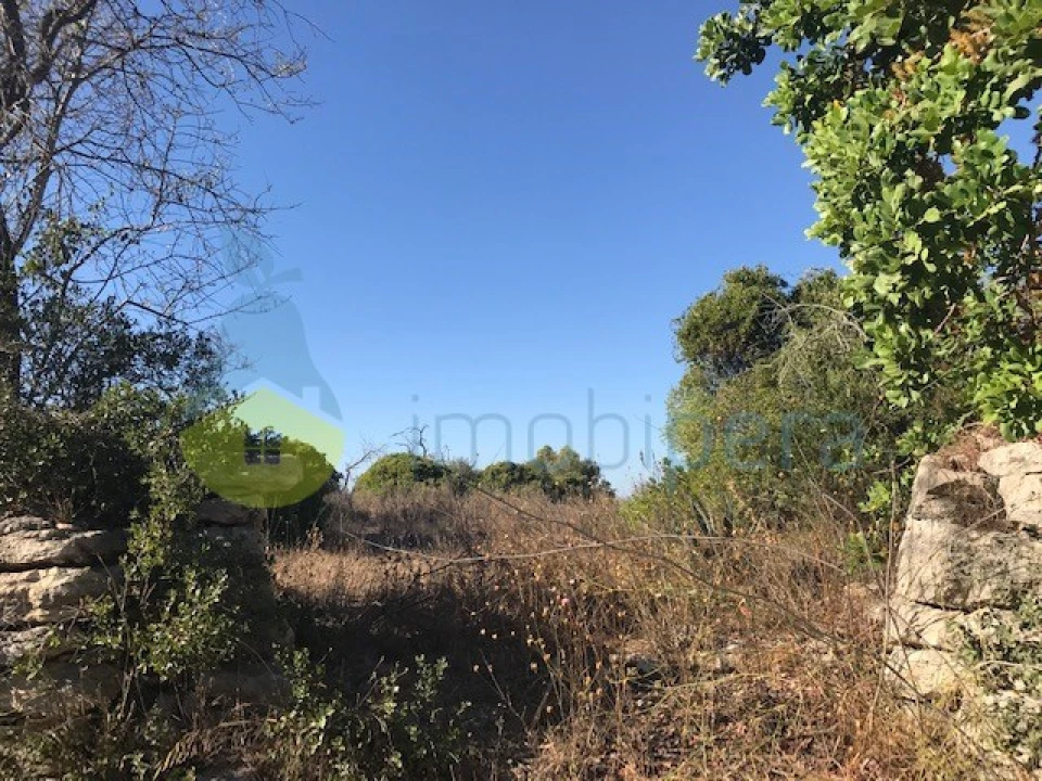 Terreno Agricola ou Rústico para Venda em Paderne Foto 6