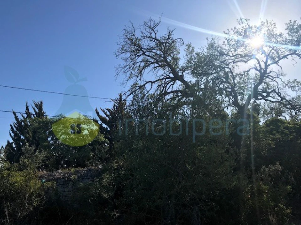 Terreno Agricola ou Rústico para Venda em Paderne Foto 14