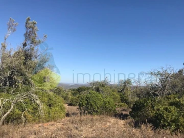 Terreno Agricola ou Rústico para Venda em Paderne