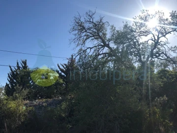 Terreno Agricola ou Rústico para Venda em Paderne