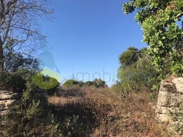 Terreno Agricola ou Rústico para Venda em Paderne
