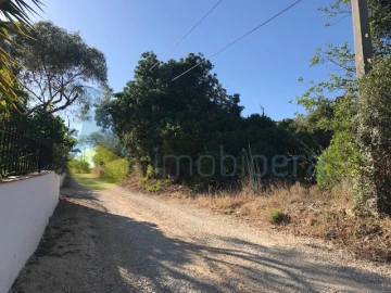 Terreno Agricola ou Rústico para Venda em Paderne