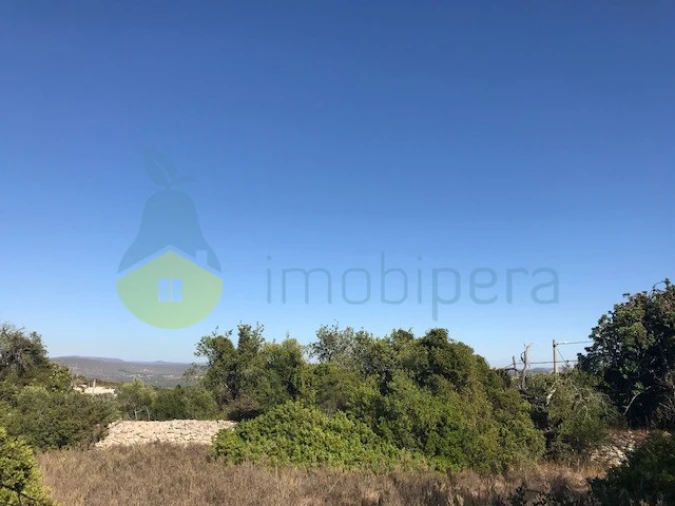 Terreno Agricola ou Rústico para Venda em Paderne Foto 11