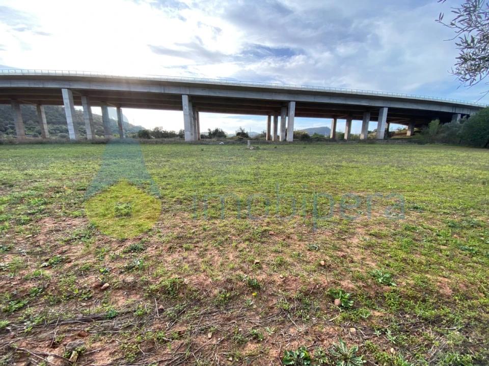Terreno Agricola ou Rústico para Venda em São Bartolomeu de Messines Foto 7