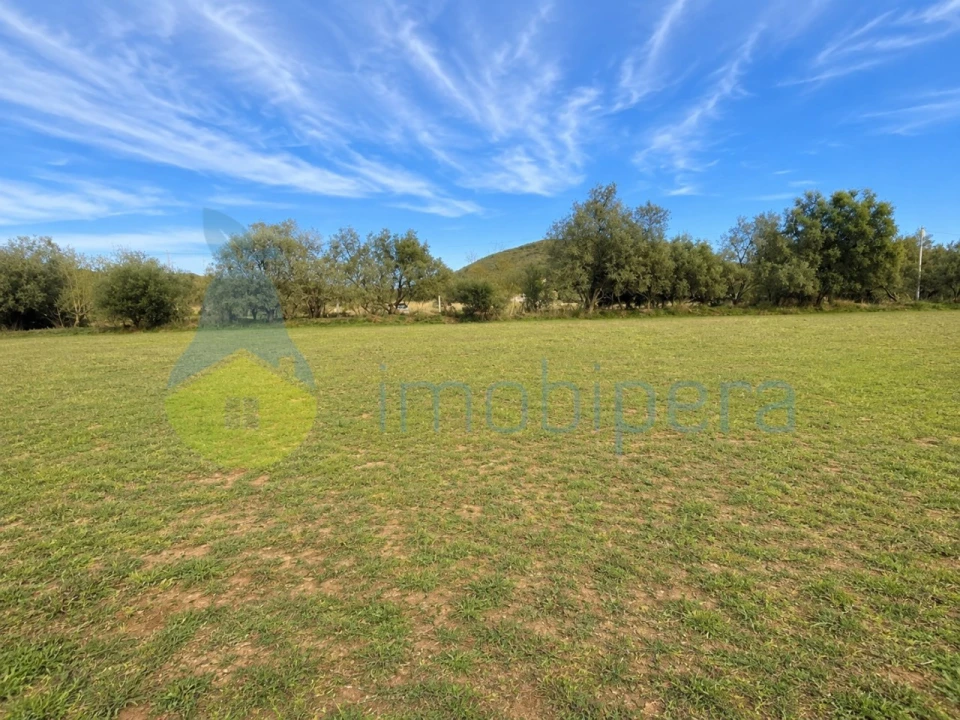 Terreno Agricola ou Rústico para Venda em São Bartolomeu de Messines Foto 5