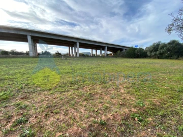 Terreno Agricola ou Rústico para Venda em São Bartolomeu de Messines