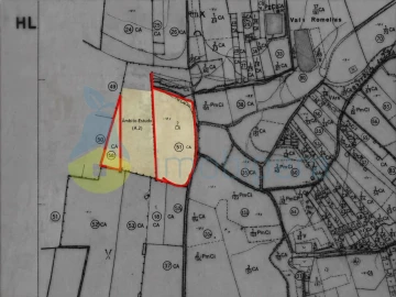 Terreno Agricola ou Rústico para Venda em São Bartolomeu de Messines