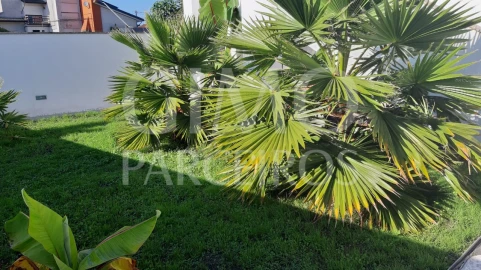 Moradia T3 para Venda em Oliveira do Bairro