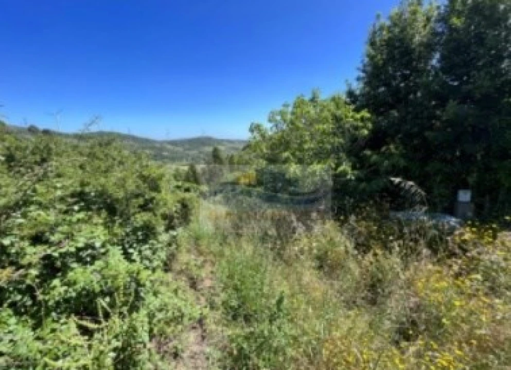 Terreno para Venda em São Pedro da Cadeira Foto 4