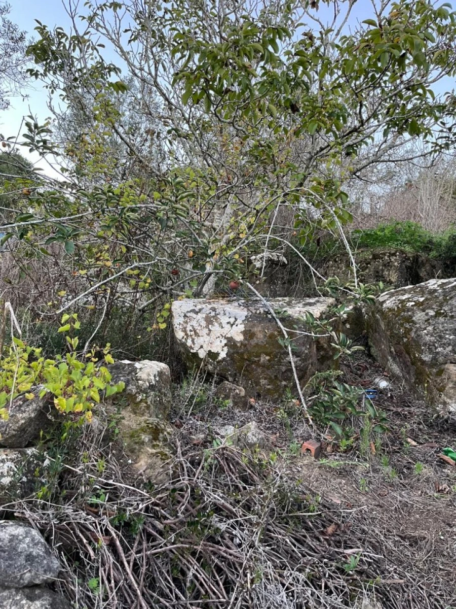 Terreno para Venda em São Pedro da Cadeira Foto 6