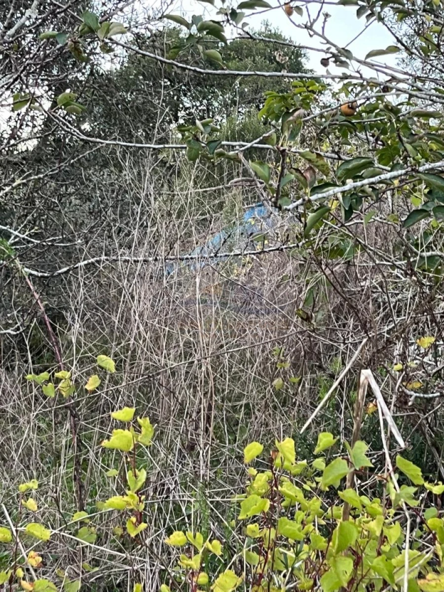 Terreno para Venda em São Pedro da Cadeira Foto 7