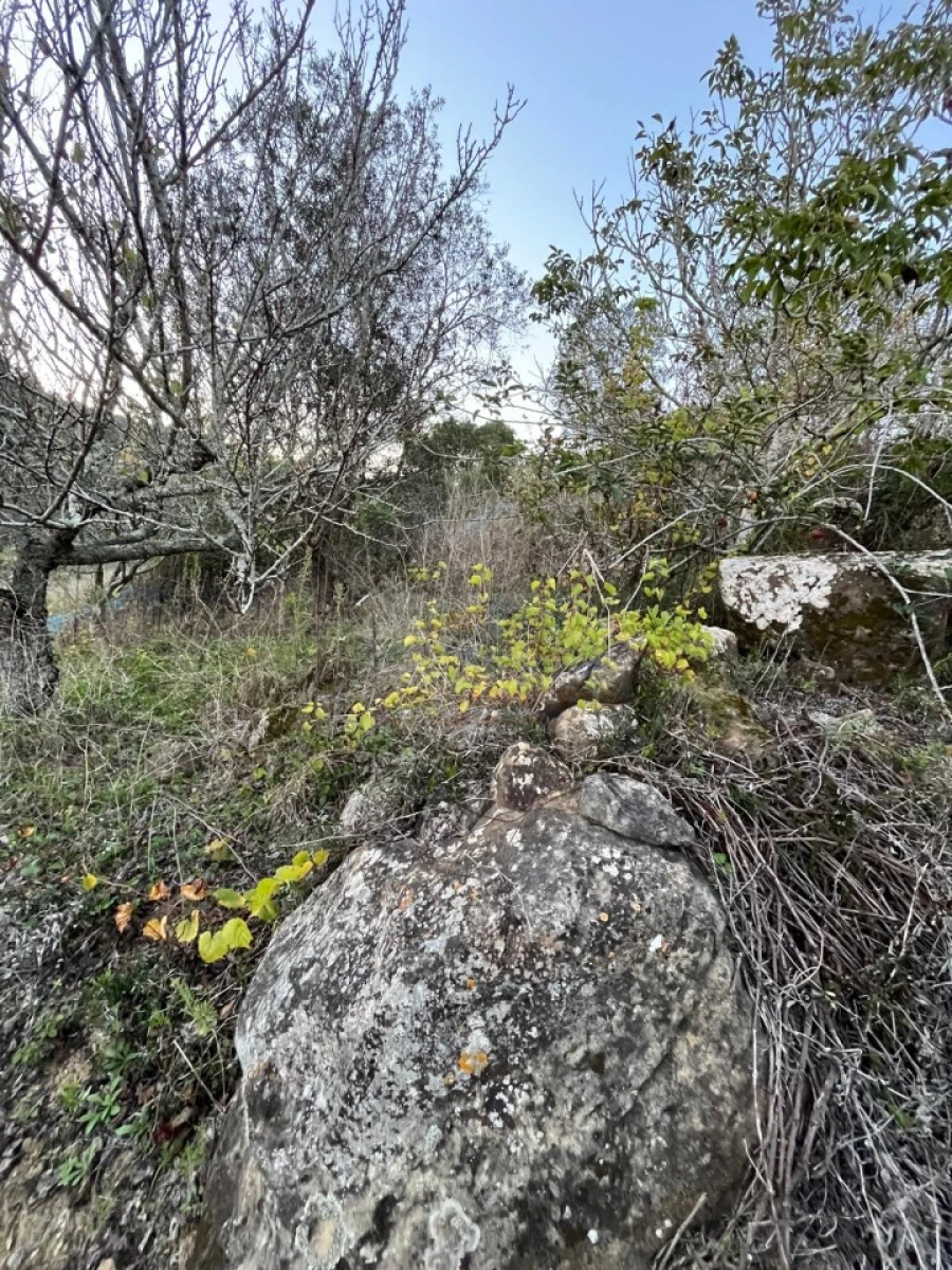 Terreno para Venda em São Pedro da Cadeira Foto 8