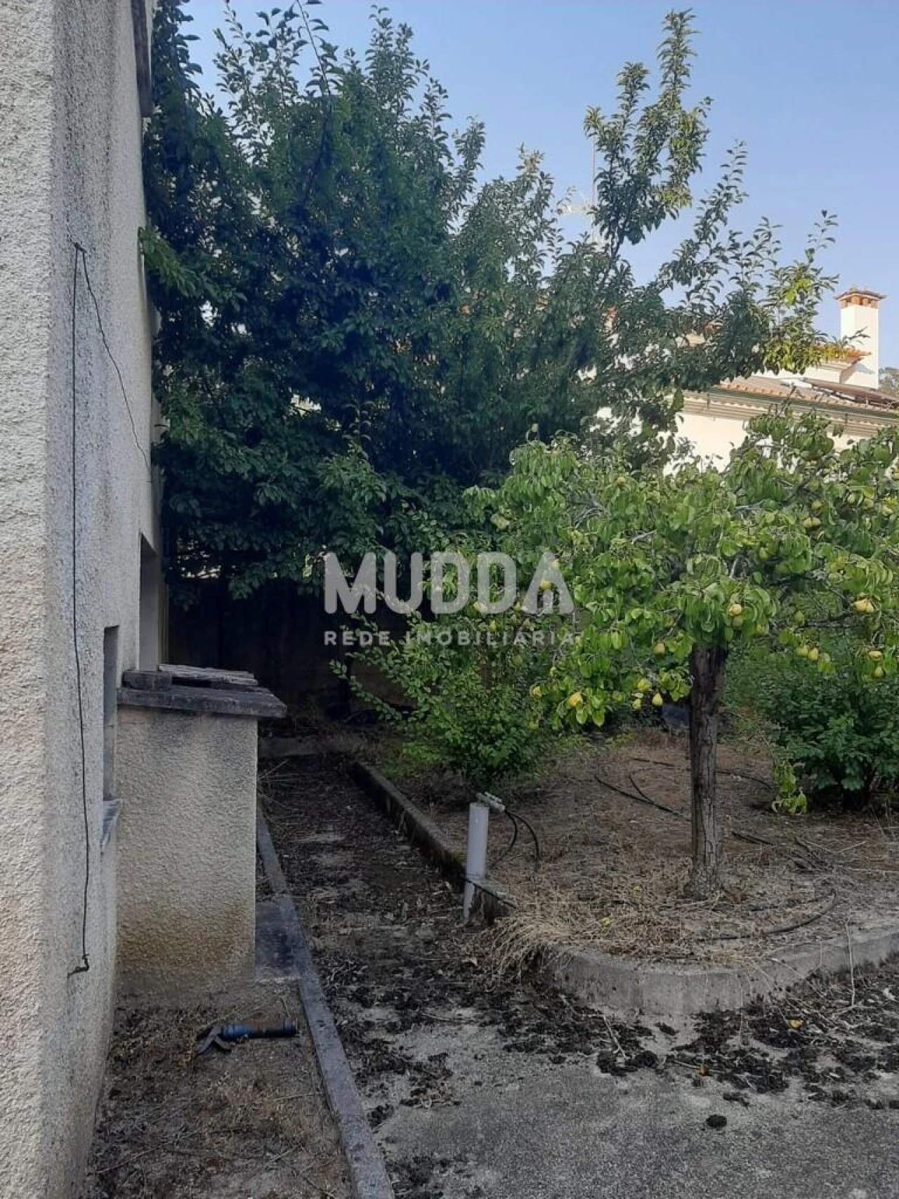 Moradia T4 para Venda em São Lourenço do Bairro Foto 20