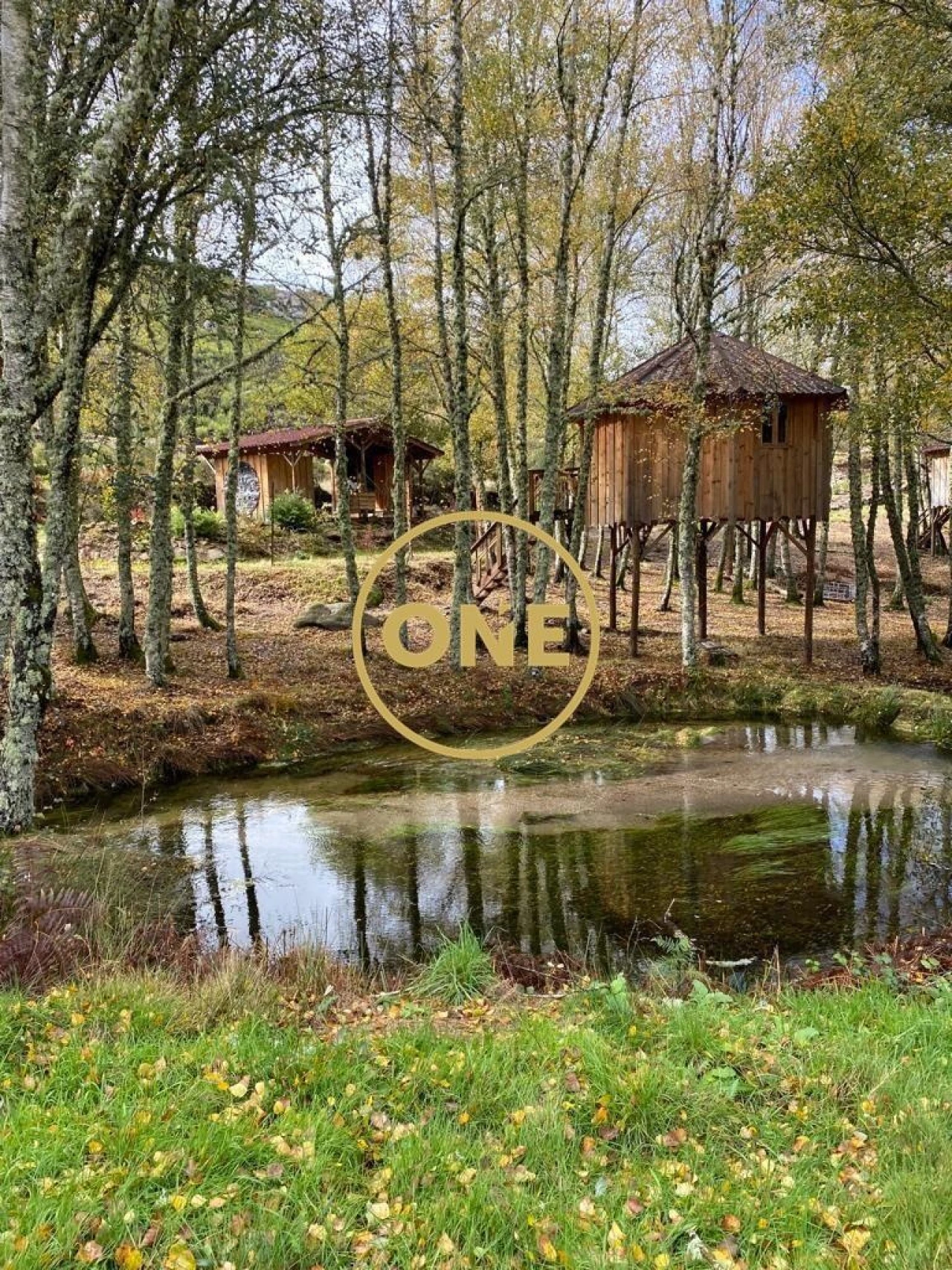 Terreno para Venda em Viade de Baixo e Fervidelas Foto 57