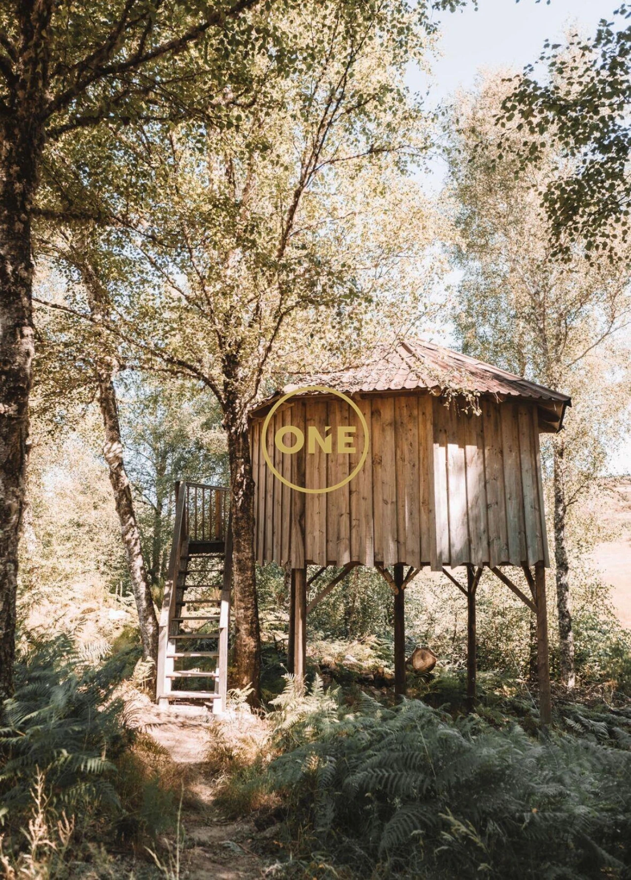 Terreno para Venda em Viade de Baixo e Fervidelas Foto 4