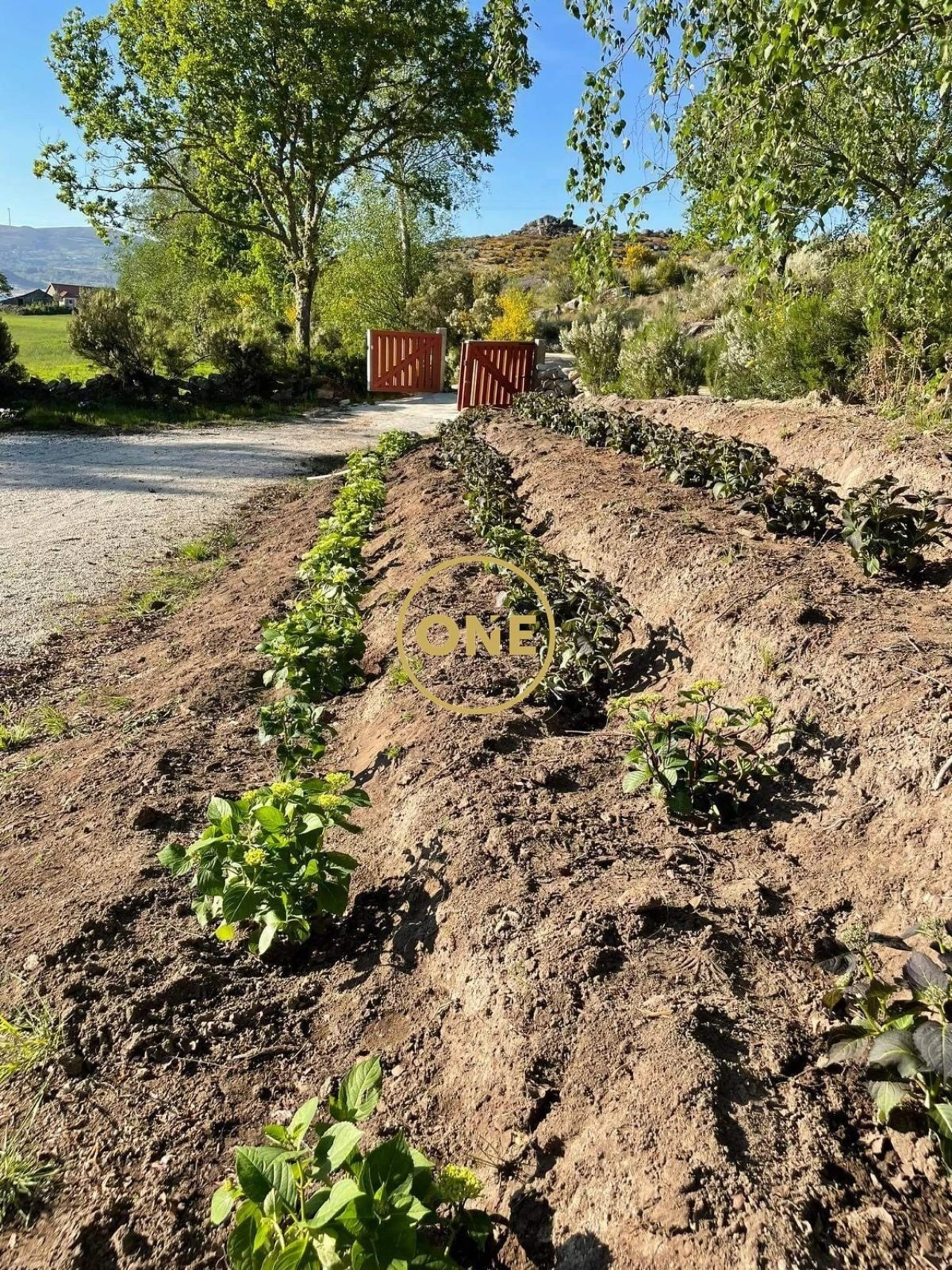 Terreno para Venda em Viade de Baixo e Fervidelas Foto 33