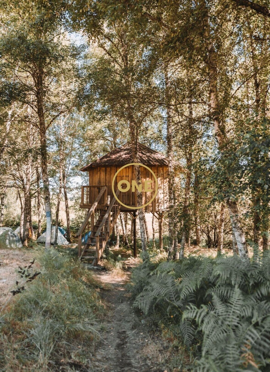 Terreno para Venda em Viade de Baixo e Fervidelas Foto 8