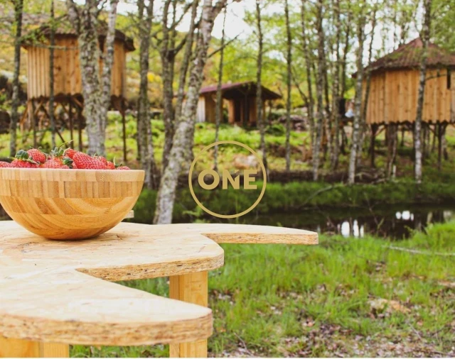 Terreno para Venda em Viade de Baixo e Fervidelas Foto 16