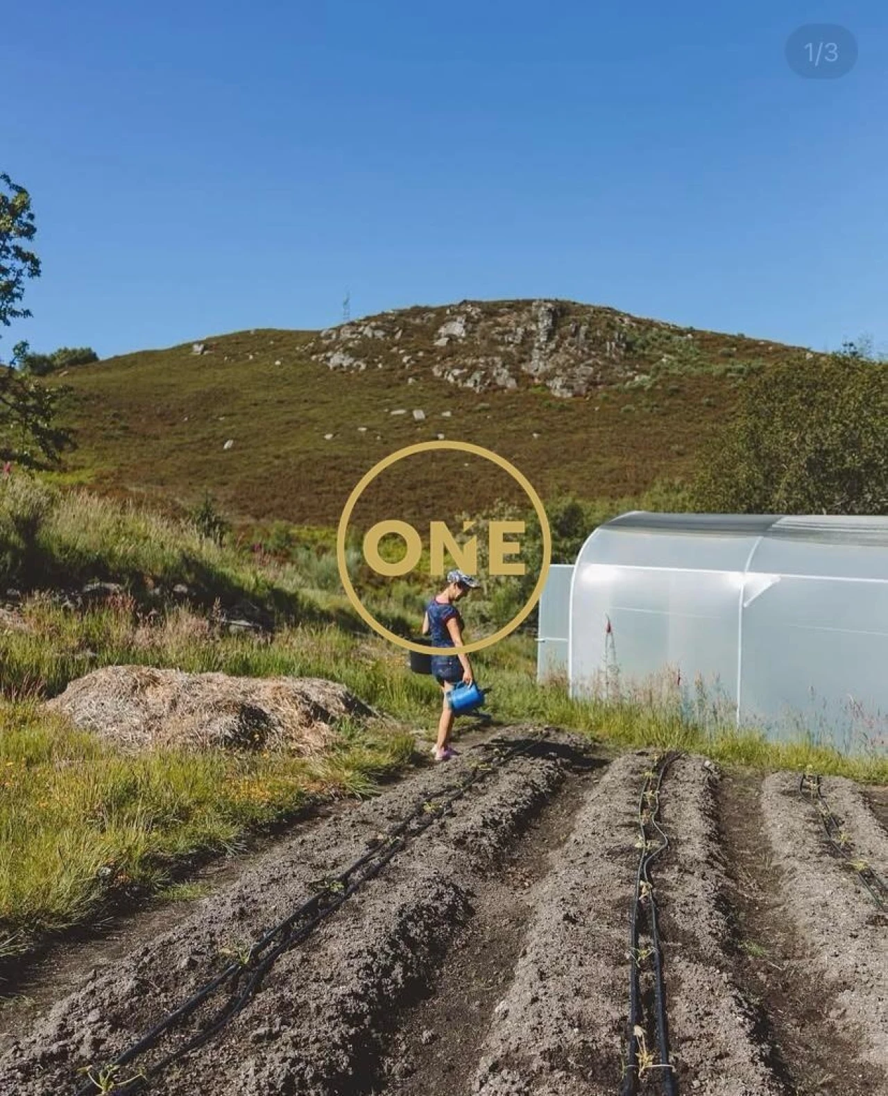 Terreno para Venda em Viade de Baixo e Fervidelas Foto 48