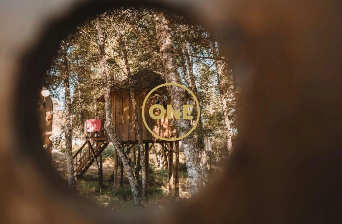 Terreno para Venda em Viade de Baixo e Fervidelas Foto 7