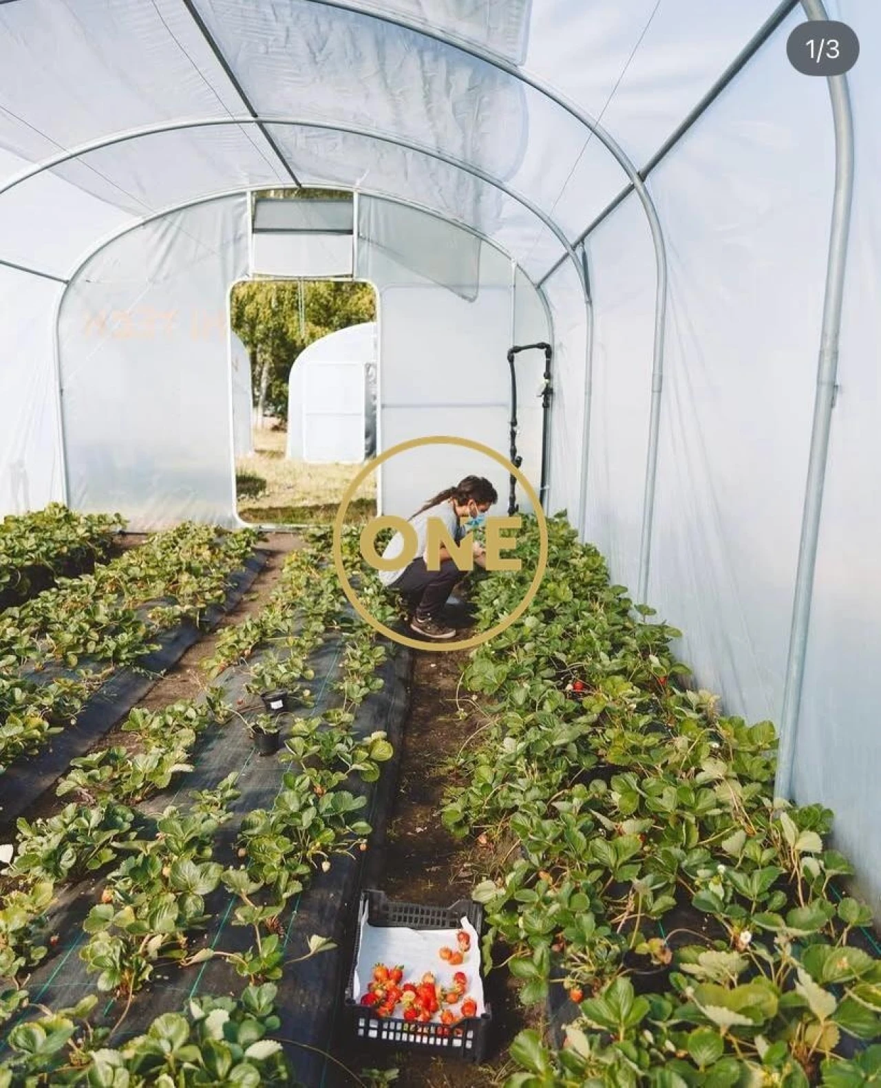 Terreno para Venda em Viade de Baixo e Fervidelas Foto 46
