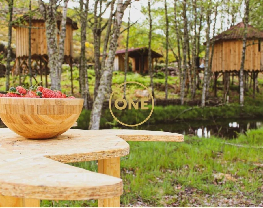 Terreno para Venda em Viade de Baixo e Fervidelas Foto 16