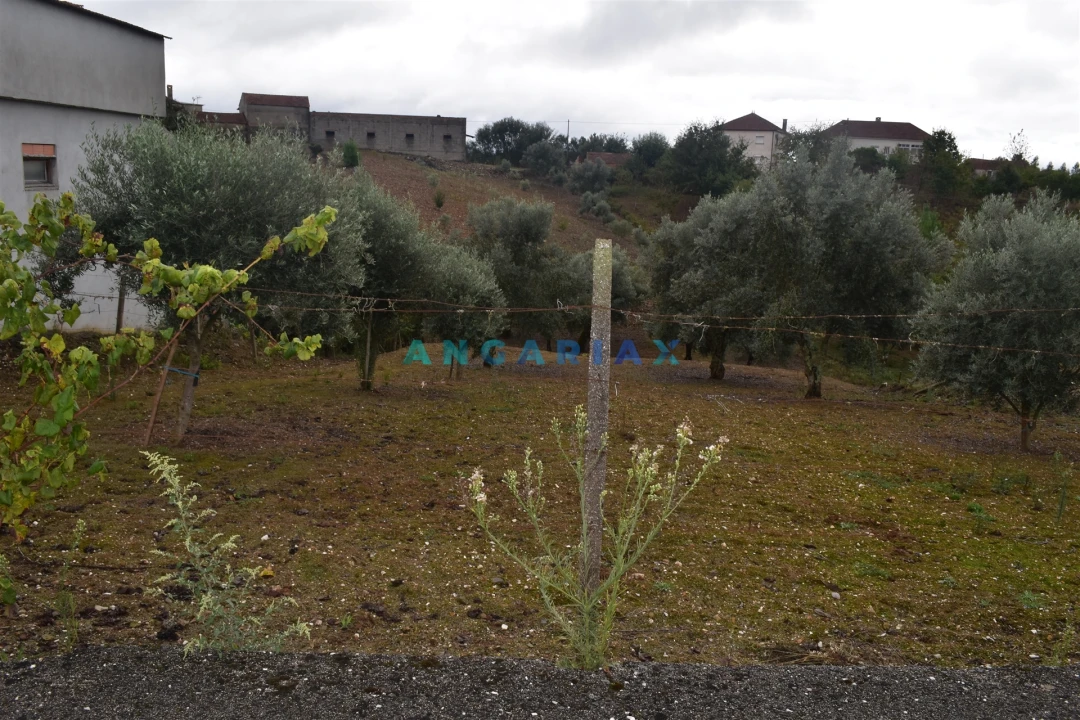 Terreno Agricola ou Rústico para Venda em Graça Foto 2