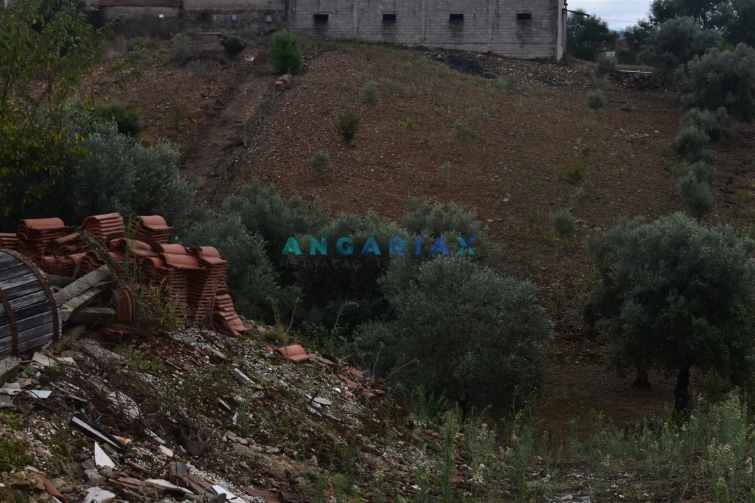 Terreno Agricola ou Rústico para Venda em Graça Foto 7