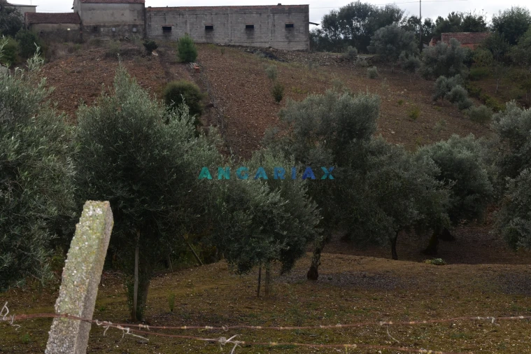 Terreno Agricola ou Rústico para Venda em Graça Foto 8