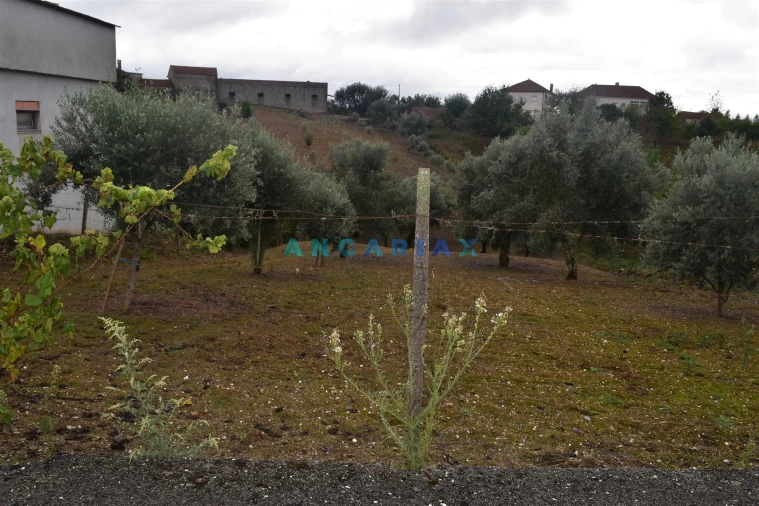 Terreno Agricola ou Rústico para Venda em Graça Foto 2