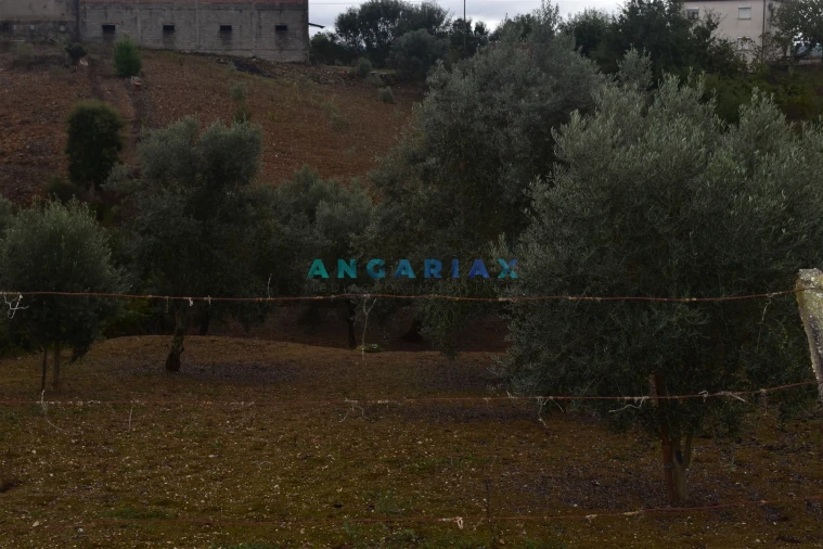 Terreno Agricola ou Rústico para Venda em Graça Foto 4