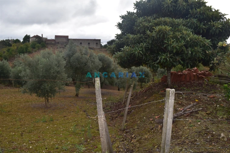 Terreno Agricola ou Rústico para Venda em Graça Foto 6