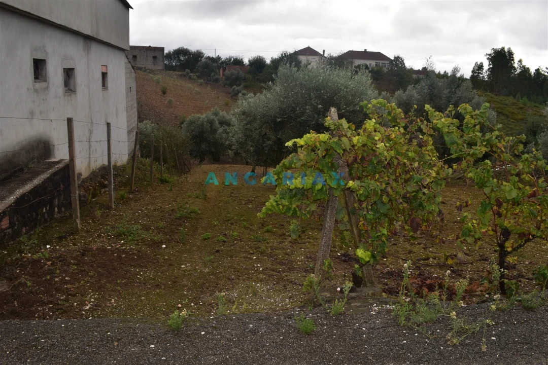 Terreno Agricola ou Rústico para Venda em Graça Foto 1