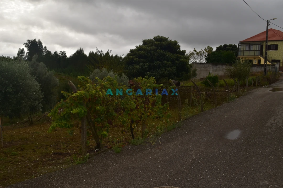 Terreno Agricola ou Rústico para Venda em Graça Foto 9