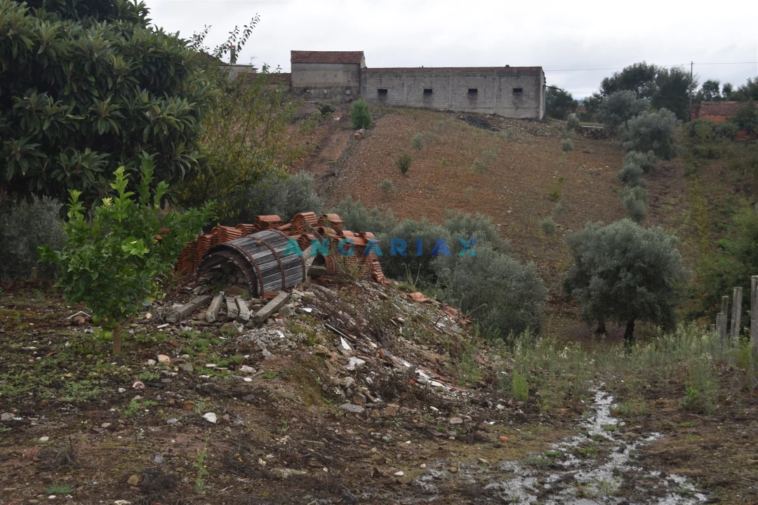Terreno Agricola ou Rústico para Venda em Graça Foto 3
