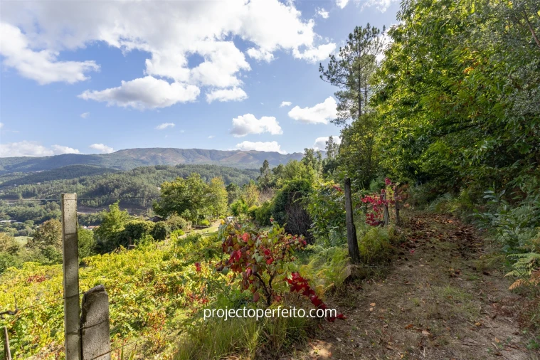 Quinta T0 para Venda em Varzea Foto 10