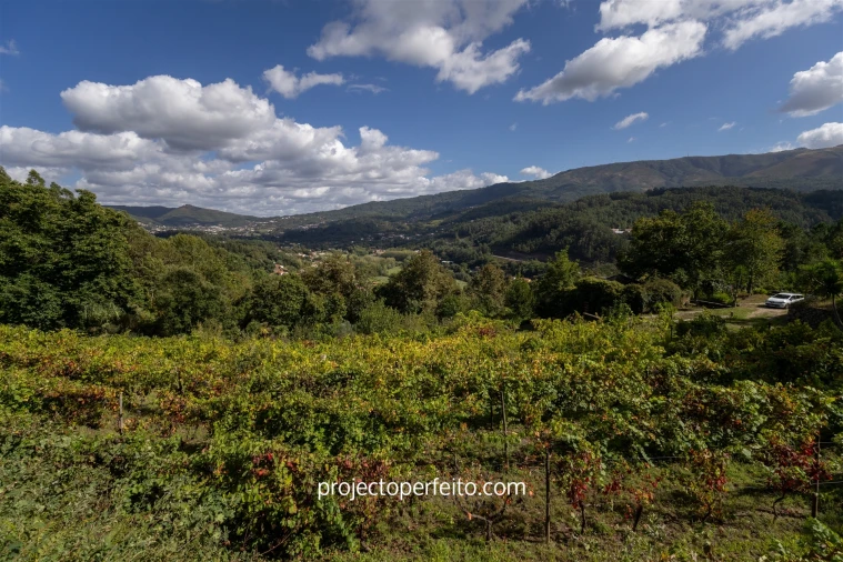 Quinta T0 para Venda em Varzea Foto 9