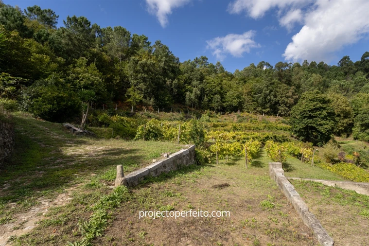 Quinta T0 para Venda em Varzea Foto 6