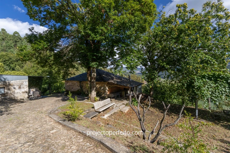 Quinta T0 para Venda em Varzea Foto 3