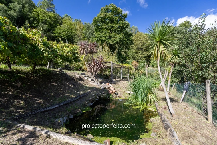Quinta T0 para Venda em Varzea Foto 4