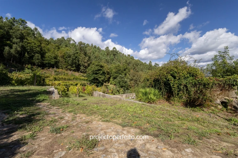 Quinta T0 para Venda em Varzea Foto 18