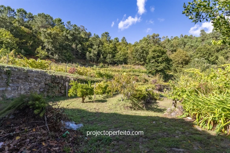Quinta T0 para Venda em Varzea Foto 12