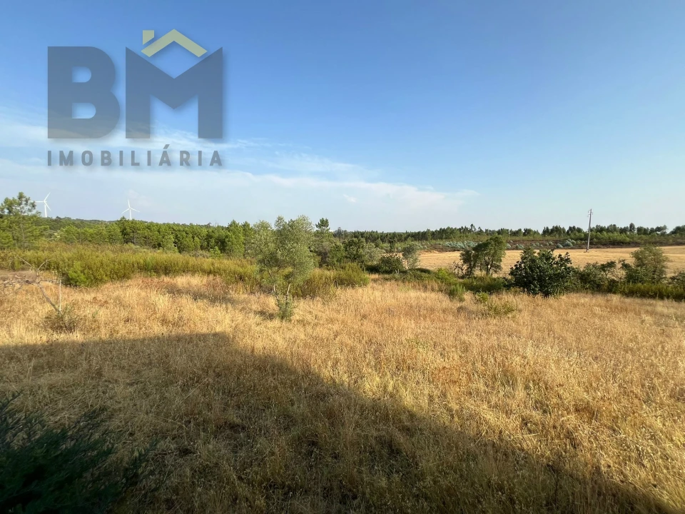 Quinta T0 para Venda em Cebolais de Cima e Retaxo Foto 12