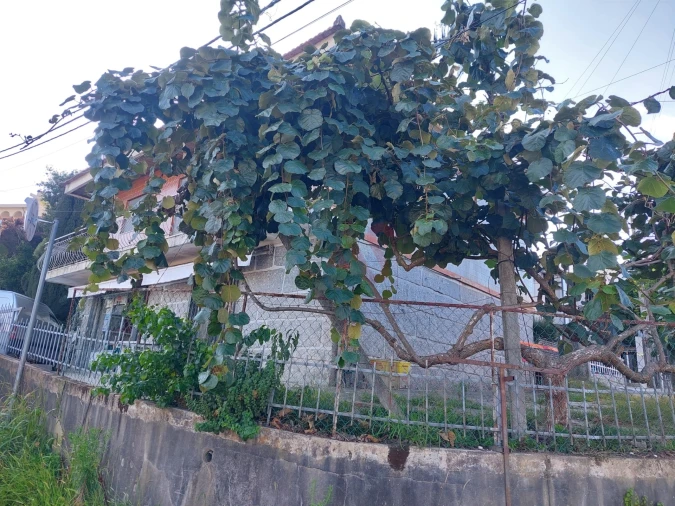 Moradia T3 para Venda em Serzedo e Calvos Foto 6